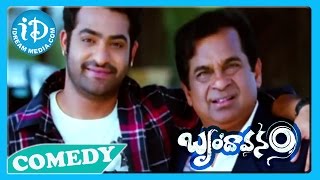 Brindavanam Movie Back2Back Comedy Scenes  Jr NTR  Samanatha  Kajal [upl. by Aeynod72]