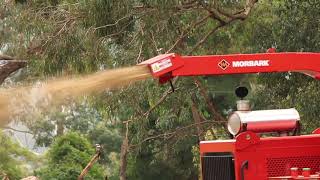 MOREBARK 2230 WOOD CHIPPER [upl. by Akihsan]