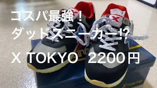 おススメのダッドスニーカー。激安！魅惑のX tokyoを買った。ニューバランス？ナイキ的な内容です。 [upl. by Lig792]