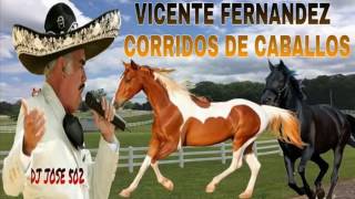 Vicente Fernandez Mix 2017 Corridos De Caballos Mix 2017 [upl. by Ahsatak434]