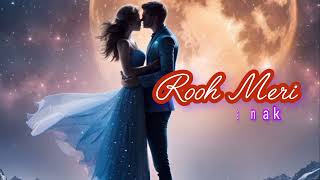 Rooh Meri  New Punjabi song 2024  Latest New Song [upl. by Fritzie]