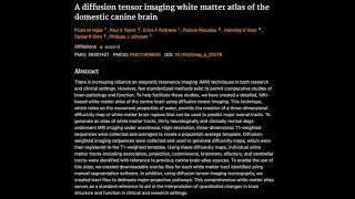 A diffusion tensor imaging white matter atlas of the domestic canine brain [upl. by Aun]