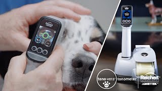 Reichert® TonoVera® Vet Veterinary Tonometer with ActiView™ Positioning System  Product Use [upl. by Nariko]