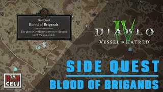 Blood of Brigands side quest  DIABLO IV [upl. by Anahsahs]