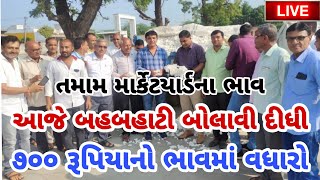 kapas na bhav  22112024  કપાસના ભાવ2024  Information about cotton crop price  Commodity Trend [upl. by Durwyn]