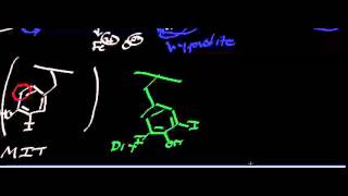 Biochemistry  Thyroid Hormones [upl. by Shandra]