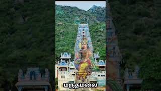 MaruthaMalai Murugan 🙏 Maruthamalaiku neenga vanthu paarunga Songs  Whatsapp status  Ringtones [upl. by Quentin714]