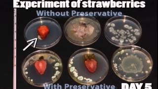 Food preservation  A brief introduction [upl. by Auqinihs643]