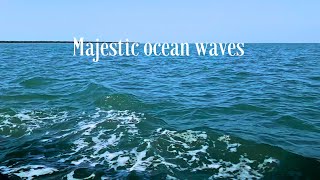 majestic ocean waves 🌊 camstoriez [upl. by Rubia]