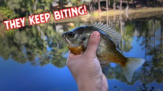 CATCH PANFISH With This SIMPLE Technique [upl. by Rothenberg]