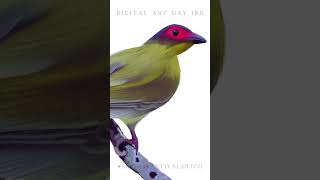 DIGITAL ART DAY 180 Australasian Figbird artoftheday digitalillustrationart digitalart [upl. by Fair48]