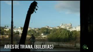 AIRES DE TRIANA BULERIAS by Sabicas Guitarist David Franzen [upl. by Eilzel]