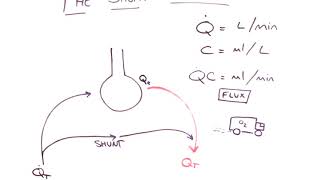 The Shunt Equation Explained [upl. by Jann]