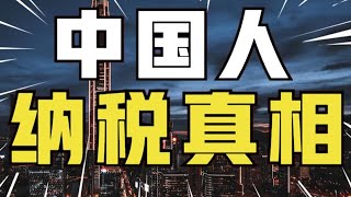 月薪不足5000RMB不交税？你错了，你吃的每粒米都要交税，14亿中国人纳税真相【青年门派】 [upl. by Esened]