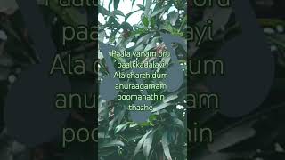 Paadam namukku paadamlovesong hitsong lyrics [upl. by Nessnaj408]