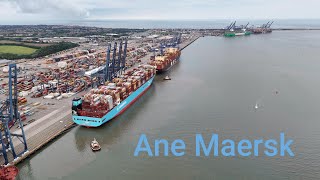 Ane Maersk 11th July 2024 [upl. by Geithner902]