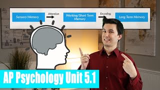 What is semantic vs episodic memory in psychology [upl. by Valsimot]