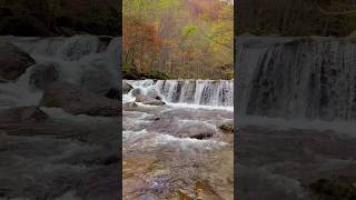 奥入瀬渓流  Oirase stream  Aomori nature explore travel 紅葉 [upl. by Orfinger]