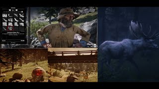 Where to sell Legendary animal skinsRed dead redemption2RDR2 location [upl. by Nylicaj]