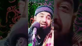 Alamdar Mulki Kashmir RA ka bayan by ☪️🇨🇨Moulana Mushtaq Ahmed qadri sahab ☪️🇨🇨 [upl. by Attolrac239]