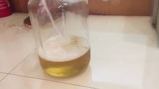 Make ozonated olive oil with high concentration ozone generator [upl. by Colene]