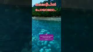 ലക്ഷദ്വീപിൽ പോവാംWayfarerinsightsmalayalamLakshadweep visatourist visa jobs work viral visa [upl. by Switzer]