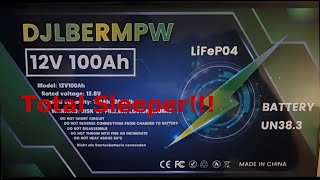 DJLBERMPW 12V 100Ah LiFePO4 Battery Review [upl. by Isherwood]