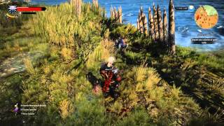 The Witcher 3 respawning Foglets 112 [upl. by Aloysius]