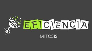 MITOSIS Y CITOCINESIS Profase Metafase Anafase y Telofase PASO A PASO [upl. by Hazel294]