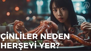 Çinliler Neden Her Şeyi Yerler  İzledikten Sonra Hak Vereceksiniz [upl. by Kristos]