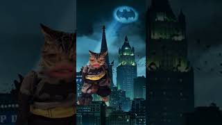 bat cat siblings comedyfilms funny comedy snapchat cat batman fyp viralshorts [upl. by Ait]