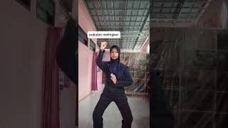 Tugas 3 quotTeknik Pukulan Dalam Pencak Silat quot [upl. by Ardekan]