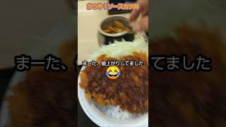 かつや！ソースカツ丼かつや ソースカツ丼 カツ丼 値上げ 値上げラッシュ スーバーフリークリックジェームス music bgm ディスコ [upl. by Vittorio261]