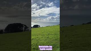 Woolacombe Bay British seaside at its best woolacombebay [upl. by Ssalguod]