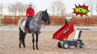 Wat vinden mijn paarden van de nieuwe hulp Voor het eerst aan de slag met een ELECTRISCHE KRUIWAGEN [upl. by Lakym]