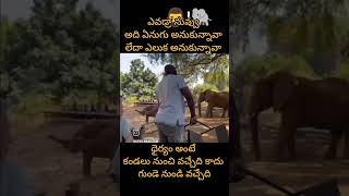 పుష్ప తగ్గేదెలా [upl. by Vyse]