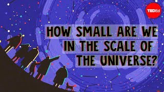 How small are we in the scale of the universe  Alex Hofeldt [upl. by Aicnerolf]