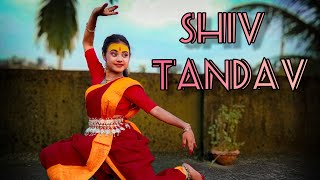 Shiv Tandav Stotram  Classical Dance Cover  Tandav  Dance With Ankita [upl. by Winifield]