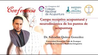 Campo receptivo acupuntural y neurodinámica de los puntos de acupuntura [upl. by Nodnahs970]