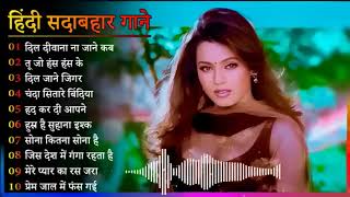 Hindi Gana🌹Sadabahar Song 💖हिंदी गाने 💔Purane Gane Mp3 💕Filmi Gaane अल्का याग्निक कुमार सानू गीत [upl. by Akimehs655]