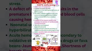 G6 PD Deficiency g6pd pathology mbbs neetpg labtechniciancourse lab medical shorts [upl. by Mapes735]