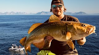 Cod amp Halibut Fishing In Norway  The Best Fishing In The World [upl. by Ayikat]