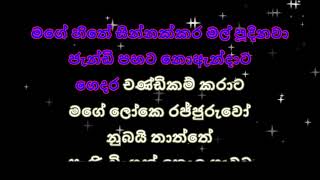 ජැන්ඩි පහට  Jandi Pahata by Chamara Ranawaka [upl. by Synn756]