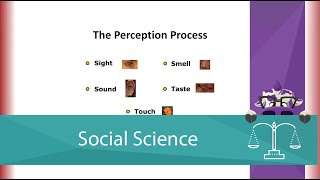 The Perception Process Screencast [upl. by Cori661]