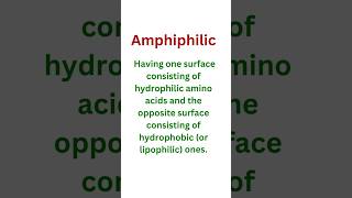 Amphiphilic amphiphilic hydrophilic animalkingdom [upl. by Sedgewake]