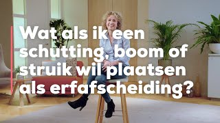 Wat als ik een schutting boom of struik wil plaatsen erfafscheiding zonder burenruzie [upl. by Laden]