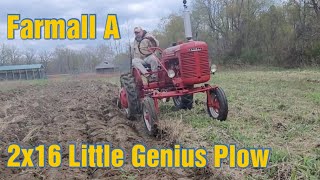 Farmall A Plowing with a Little Genius 2x16 Plow [upl. by Fording]