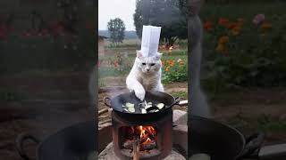 MASTER VEGANS memes trending youtubeshorts shortsfeed funny funnymemes cat entertainment [upl. by Godfry]