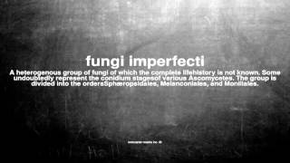 What does fungi imperfecti mean [upl. by Neila685]