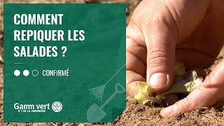 TUTO Comment repiquer les salades   Jardinerie Gamm vert [upl. by Divadnahtanoj16]